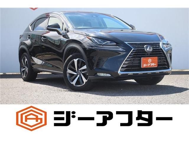 TOYOTA / LEXUS NX300h