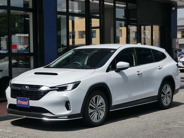 SUBARU / LEVORG LAYBACK