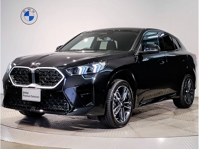 BMW / BMW X2