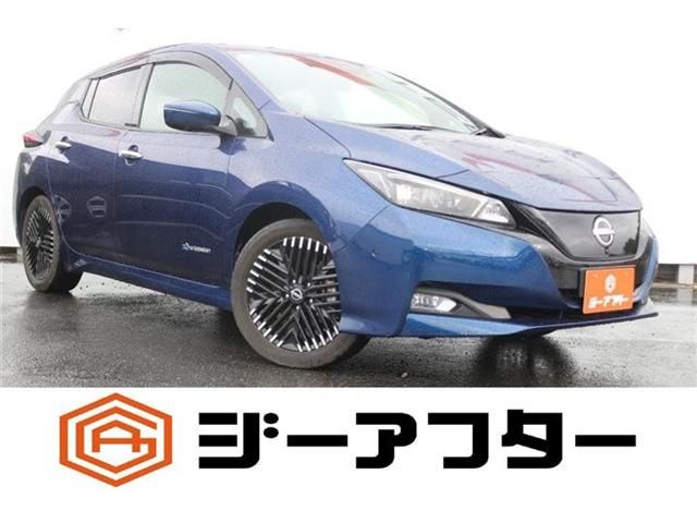 NISSAN / LEAF