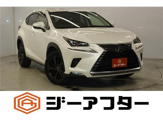 TOYOTA / LEXUS NX300 AWD