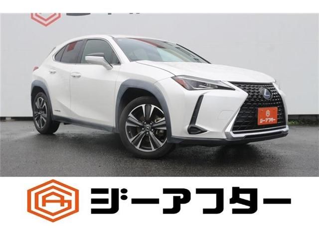 TOYOTA / LEXUS UX250h