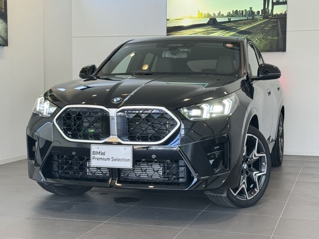 BMW / BMW X2