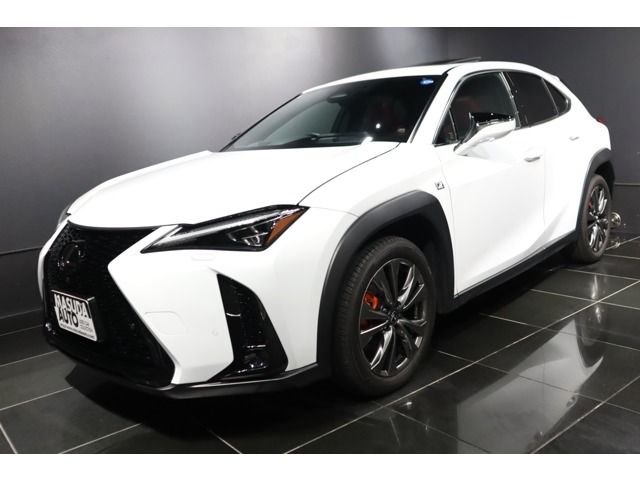 TOYOTA / LEXUS UX300h