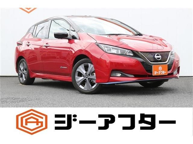 NISSAN / LEAF