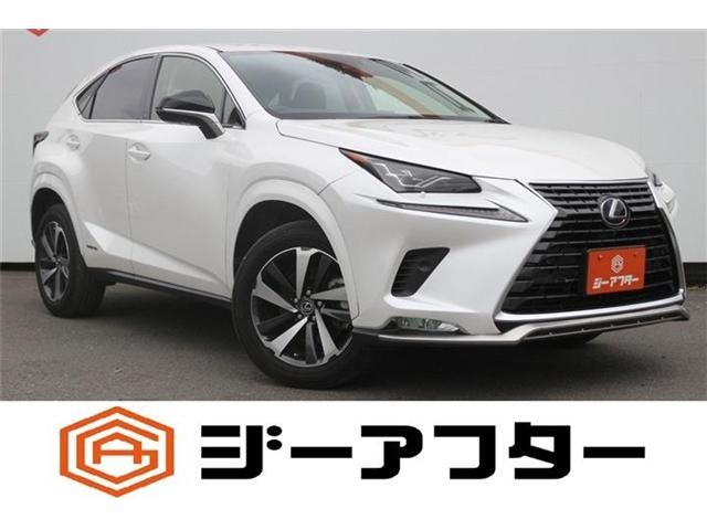 TOYOTA / LEXUS NX300h