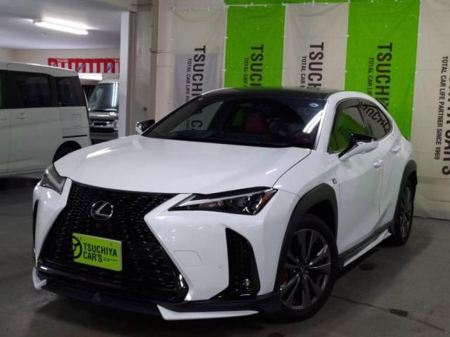 TOYOTA / LEXUS UX300h