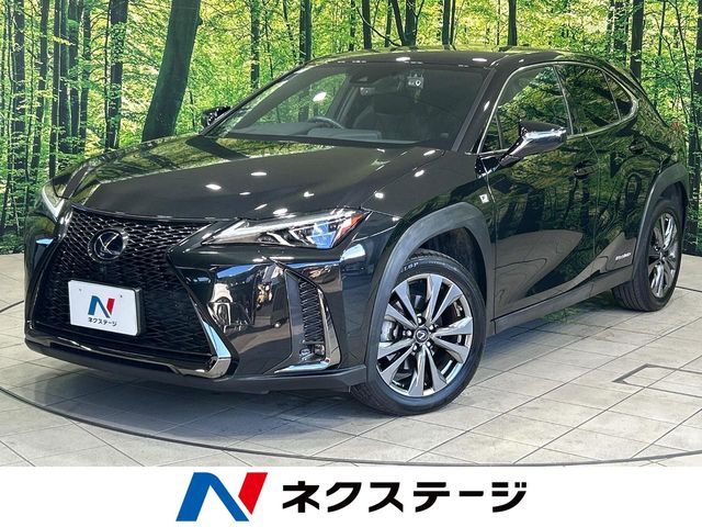 TOYOTA / LEXUS UX250h