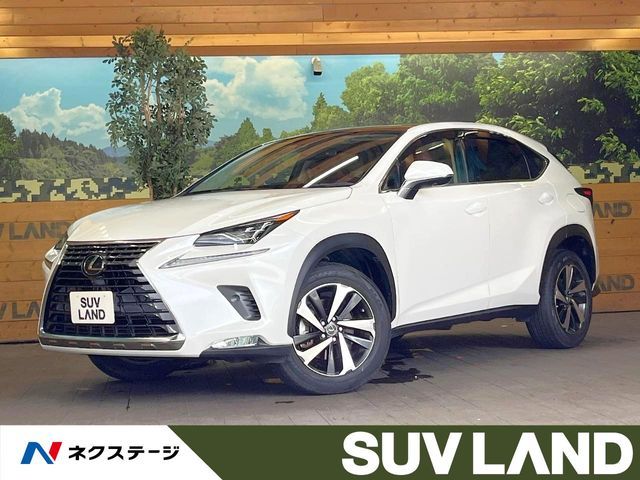 TOYOTA / LEXUS NX300