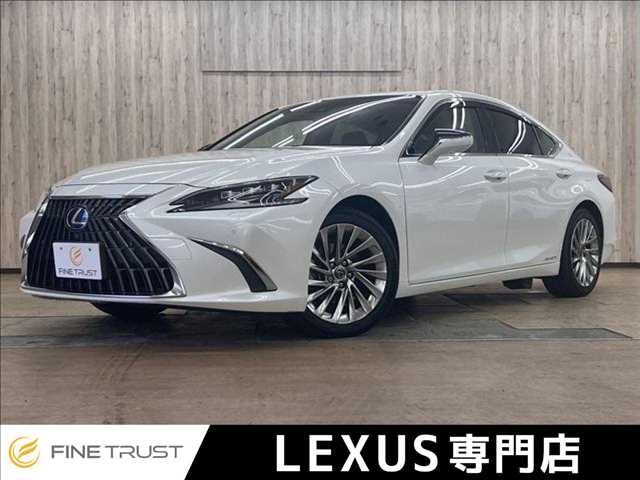 TOYOTA / LEXUS ES300h