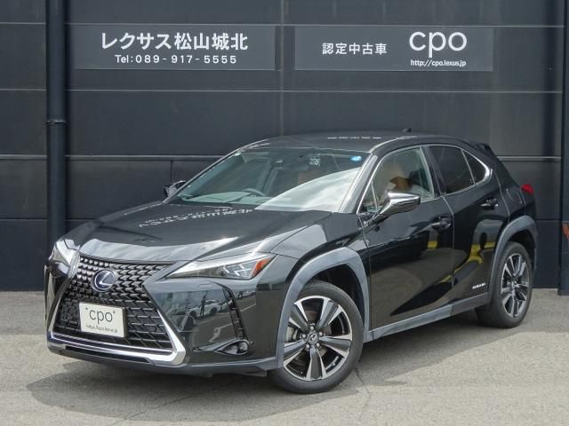 TOYOTA / LEXUS UX250h