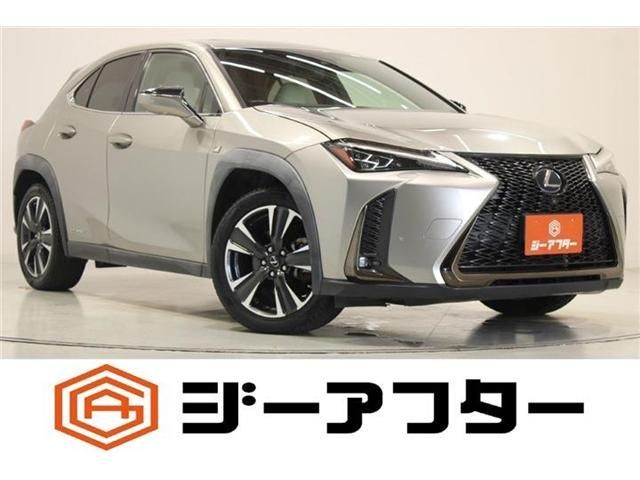 TOYOTA / LEXUS UX250h