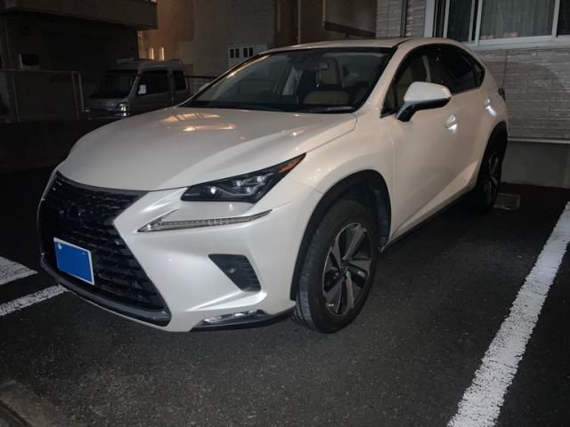 TOYOTA / LEXUS NX300h