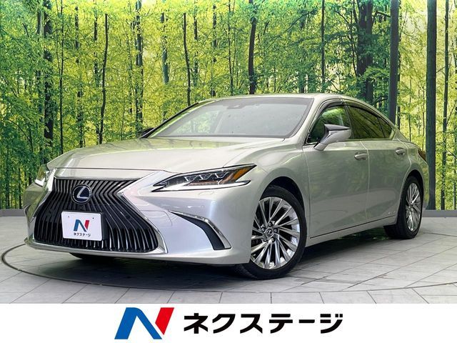 TOYOTA / LEXUS ES300h