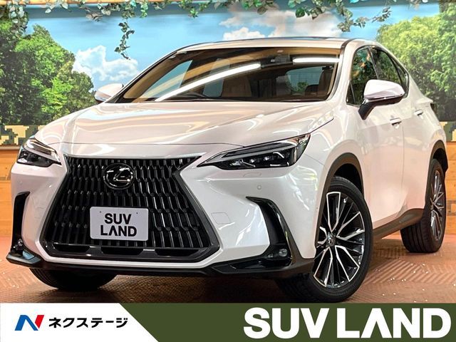 TOYOTA / LEXUS NX450h+ AWD