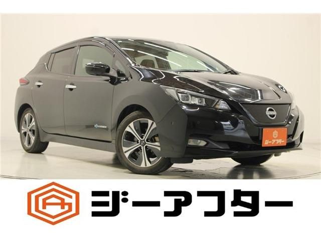 NISSAN / LEAF