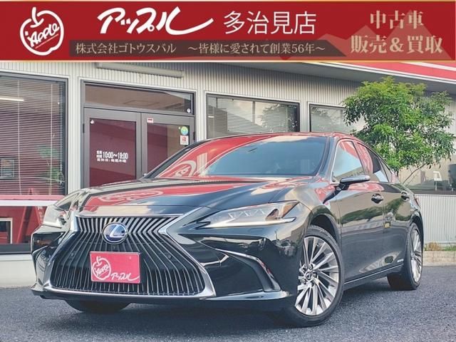 TOYOTA / LEXUS ES300h