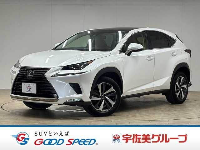TOYOTA / LEXUS NX300 AWD