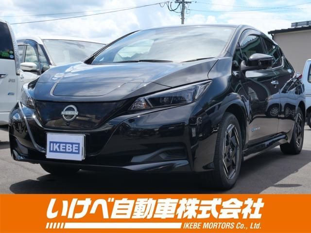 NISSAN / LEAF
