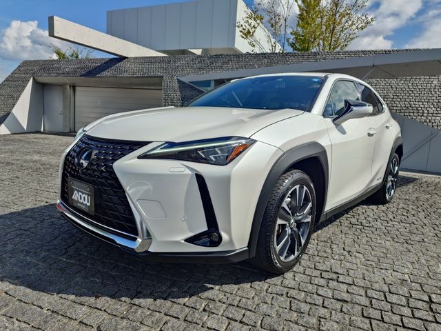 TOYOTA / LEXUS UX250h