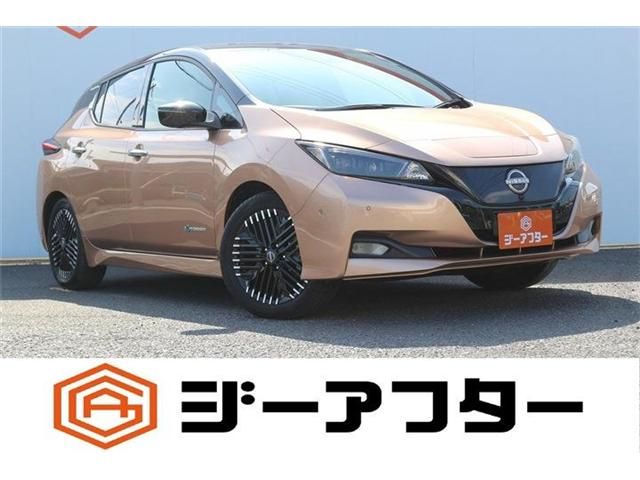 NISSAN / LEAF