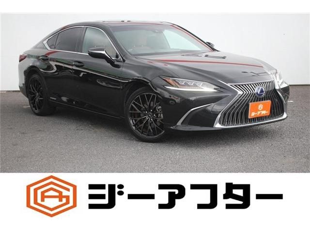 TOYOTA / LEXUS ES300h
