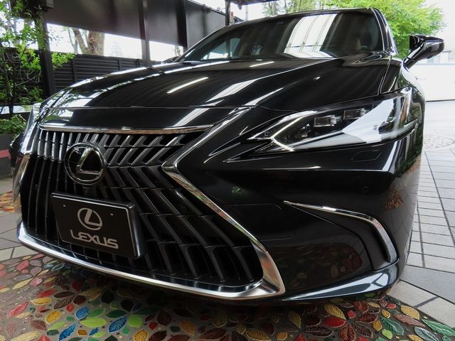 TOYOTA / LEXUS ES300h
