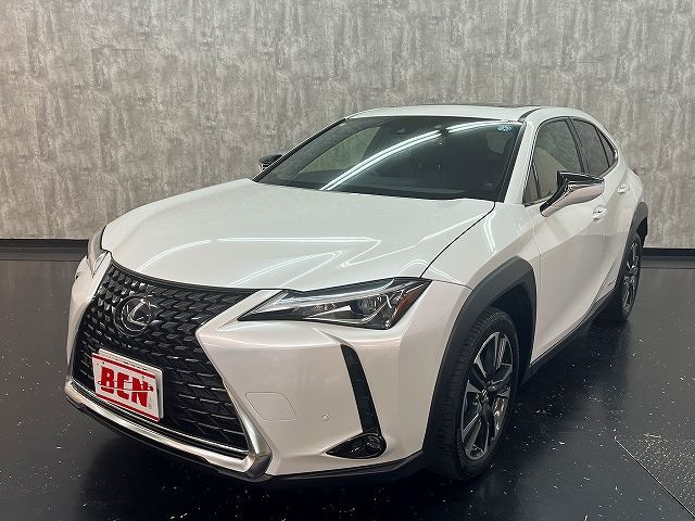 TOYOTA / LEXUS UX250h