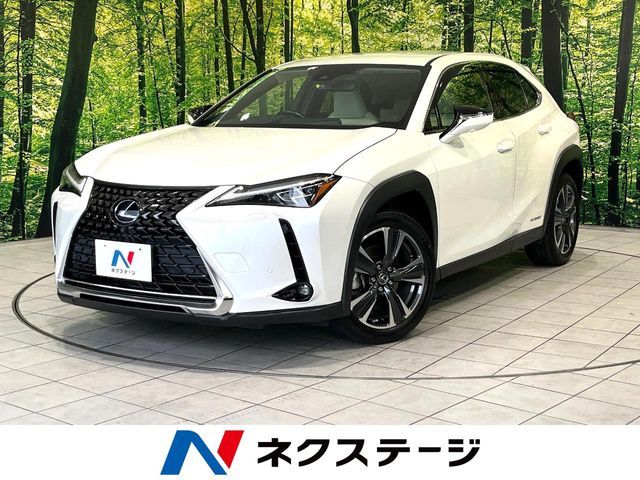 TOYOTA / LEXUS UX250h