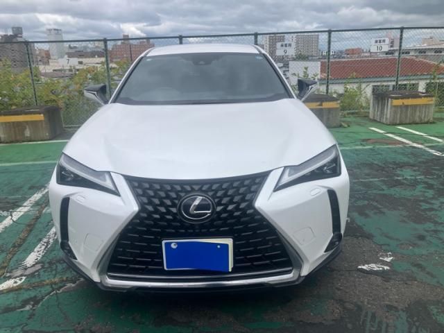 TOYOTA / LEXUS UX250h