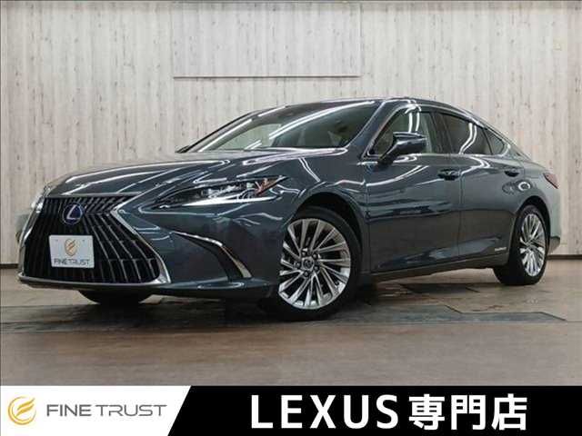 TOYOTA / LEXUS ES300h