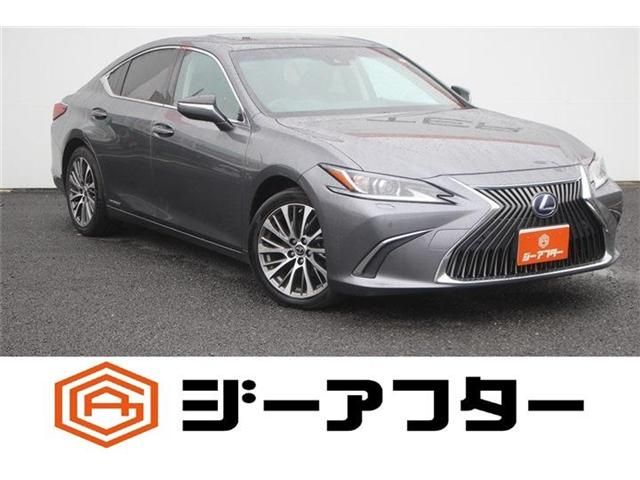 TOYOTA / LEXUS ES300h