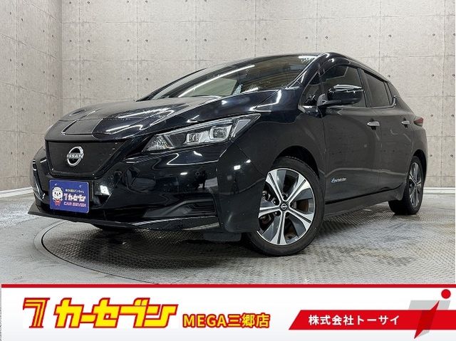 NISSAN / LEAF