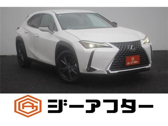 TOYOTA / LEXUS UX300h