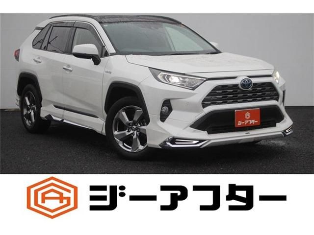 TOYOTA / RAV4 HYBRID 4WD