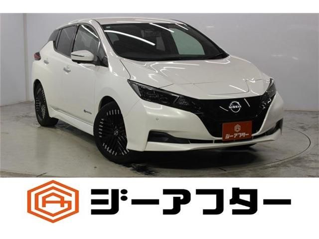 NISSAN / LEAF