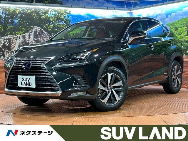 TOYOTA / LEXUS NX300h