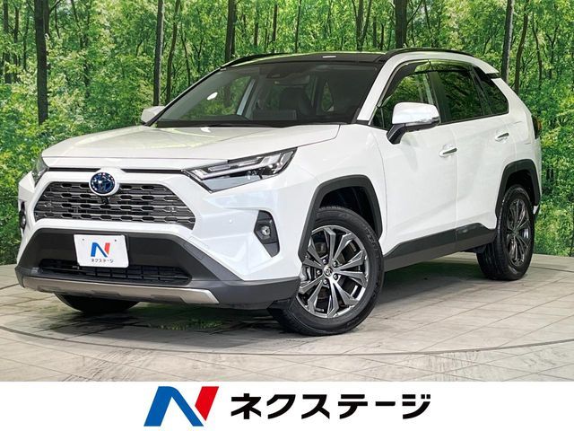 TOYOTA / RAV4 HYBRID 4WD