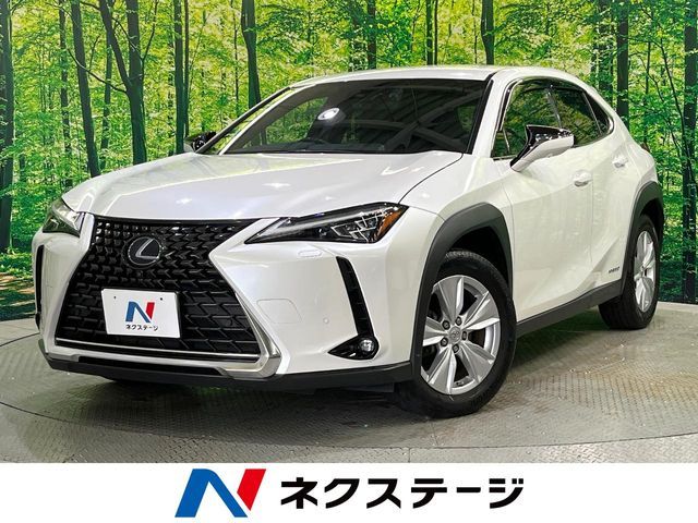 TOYOTA / LEXUS UX250h AWD