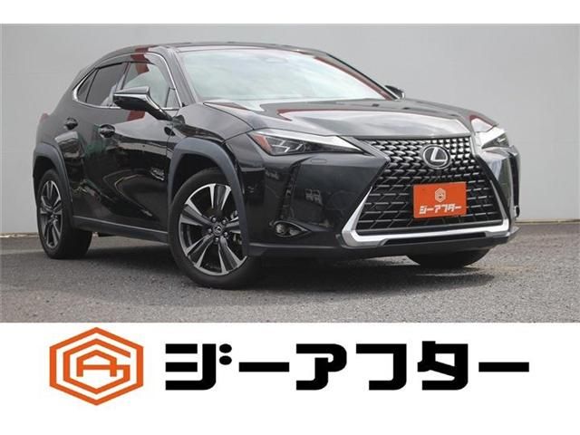 TOYOTA / LEXUS UX300h