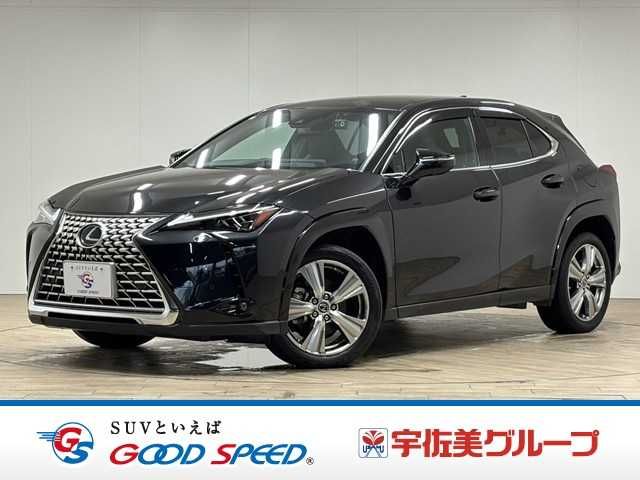TOYOTA / LEXUS UX250h