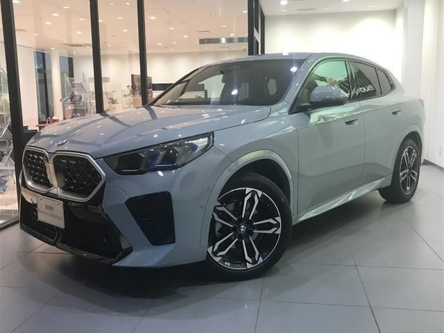 BMW / BMW X2