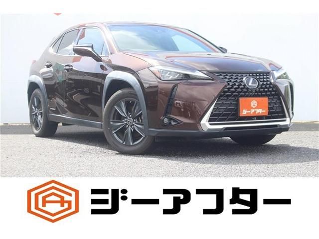 TOYOTA / LEXUS UX250h
