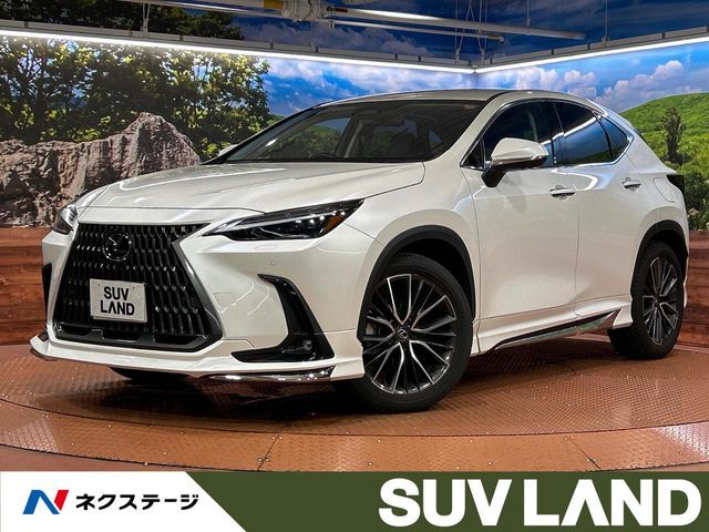 TOYOTA / LEXUS NX250