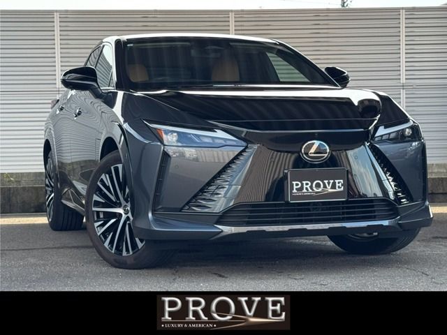 TOYOTA / LEXUS RZ450e