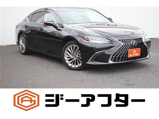 TOYOTA / LEXUS ES300h