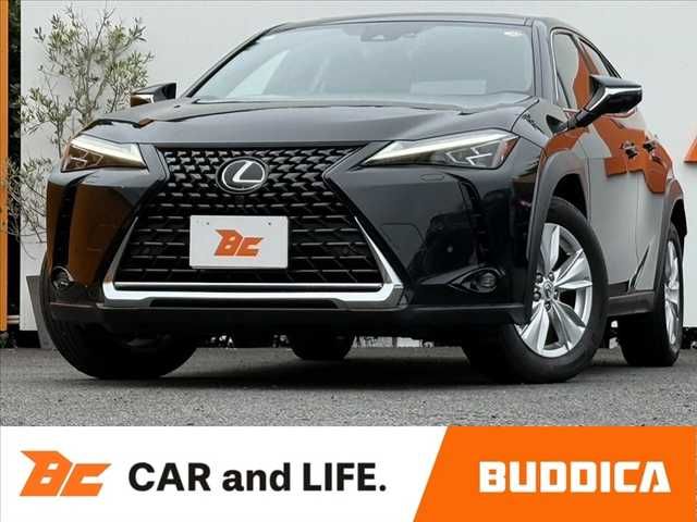 TOYOTA / LEXUS UX250h