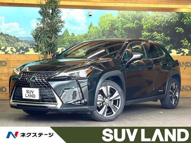 TOYOTA / LEXUS UX250h
