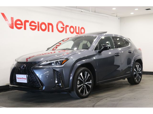 TOYOTA / LEXUS UX250h