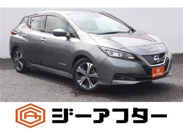 NISSAN / LEAF